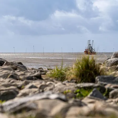 Deichsonne  Ostertill 10 *